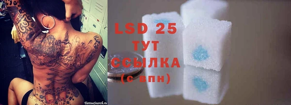 мяу мяу мука Абаза