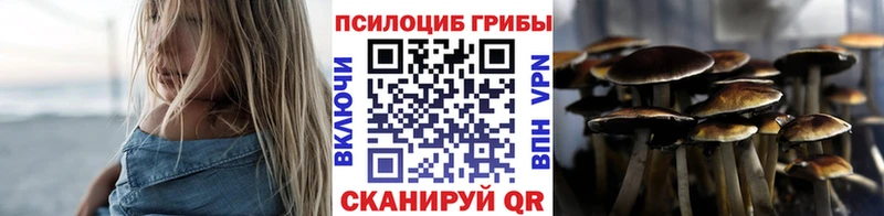 Псилоцибиновые грибы Magic Shrooms  кракен tor  Нюрба 